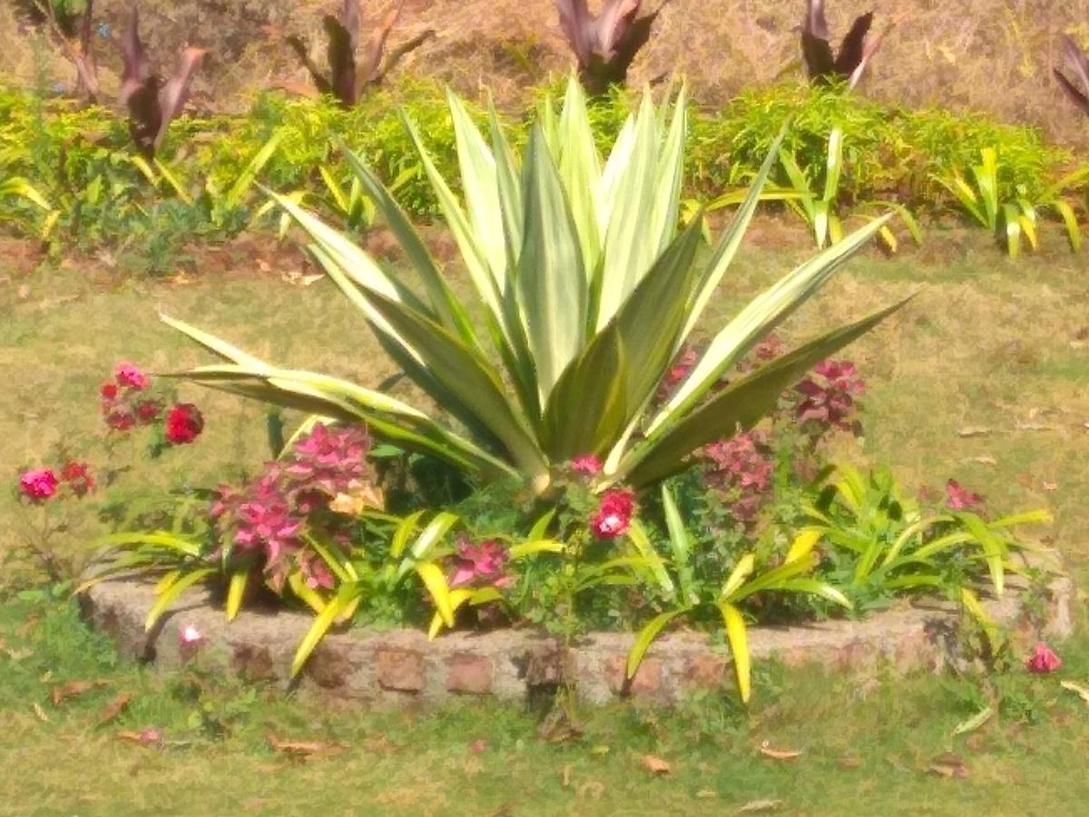 Sadgurukrupa Villa Mahableshwar Mahābaleshwar Eksteriør billede